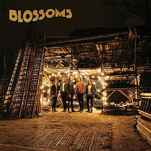 Blossoms - Blossoms - Vinyl Record