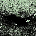 Jayle,jaye - No Trail & Other Unholy Paths - Vinyl Record
