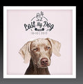 Lost My Dog 10x10: 2013 / Var - Lost My Dog 10x10: 2013 / Var - Music CD
