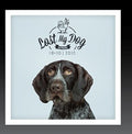 Lost My Dog 10x10: 2010 / Var - Lost My Dog 10x10: 2010 / Var - Music CD