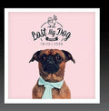 Lost My Dog 10x10: 2006 / Var - Lost My Dog 10x10: 2006 / Var - Music CD