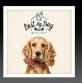 Lost My Dog 10x10: 2014 / Var - Lost My Dog 10x10: 2014 / Var - Music CD