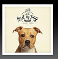Lost My Dog 10x10: 2009 / Var - Lost My Dog 10x10: 2009 / Var - Music CD