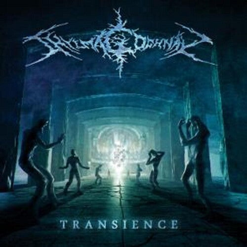 Shylmagoghnar - Transience - Vinyl Record