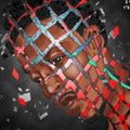In Permanence [12" Vinyl] Vinyl Record