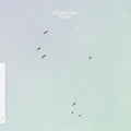 Lycoriscoris - Flight - Vinyl Record
