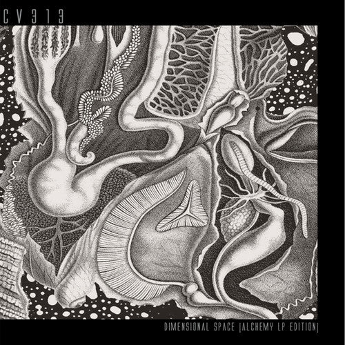 Cv313 - Dimensional Space - Music CD