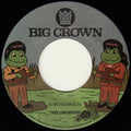 Si Me Faltaras Tu / Parachute [7" Vinyl] Vinyl Record