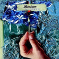 Samiam - You Are Freaking Me Out - Music CD