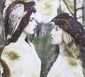 Black Hole Lace [LP] Vinyl Record