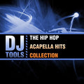 Hip Hop Acapella Hits Collection Music CD