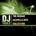 Dj Tools - Reggae Acapella Hits Collection - Music CD