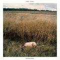 Sinai Vessel - Brokenlegged - Vinyl Record