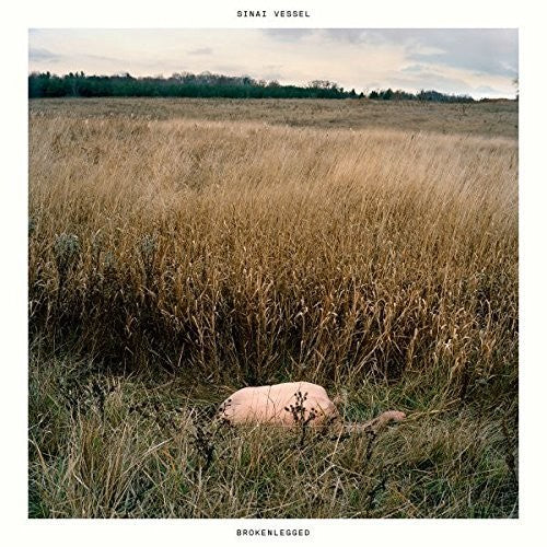 Sinai Vessel - Brokenlegged - Music CD