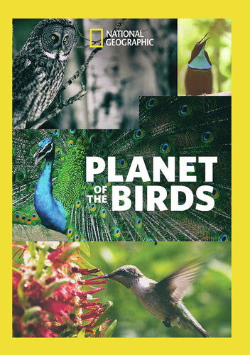 Planet Of The Birds - Planet Of The Birds - DVD
