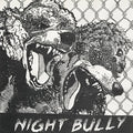Urochromes - Night Bully - Vinyl Record