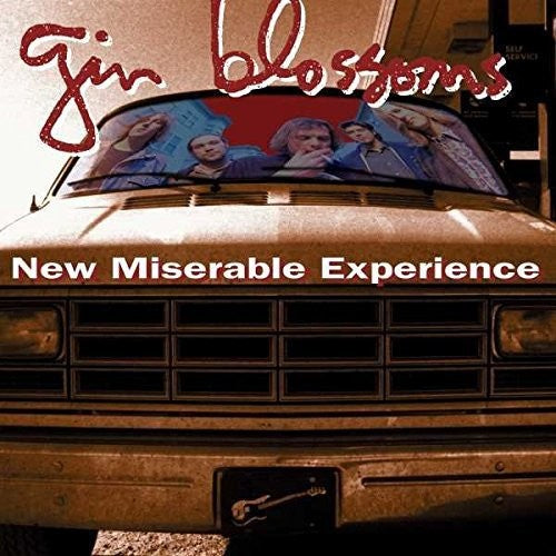 New Miserable Experience [LP] Vinyl Record