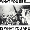 Here & Now & Alternative Tv - What You See Is What You Are - Music CD
