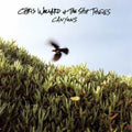 Wollard,chris & The Ship Thieves - Canyons - Vinyl Record