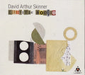 Skinner,david Arthur - Cubistic Boogie - Music CD