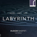Bach,j.s. / Mozart / Driel / Wester / Vries - Labyrinth - Music CD