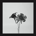 Jlin - Dark Lotus - Vinyl Record