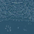 Mammal Hands - Animalia - Vinyl Record