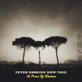 Erskine,peter New Trio - In Praise Of Shadows - Music CD
