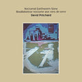 Pritchard,david - Nocturnal Earthworm Stew - Vinyl Record