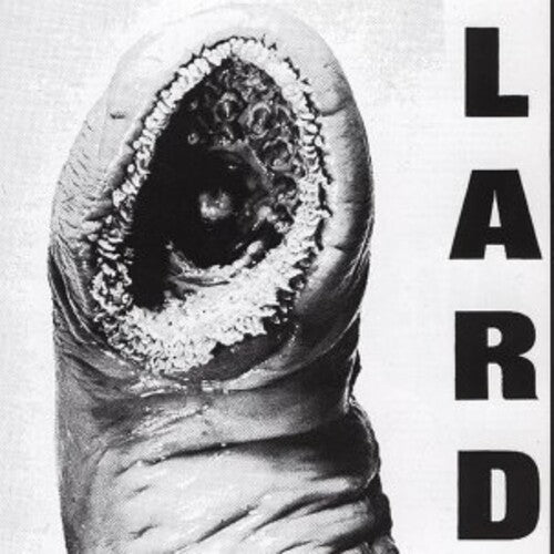 Lard - Power Of Lard - Vinyl Record