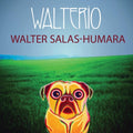 Humara,walter Salas - Walterio - Music CD