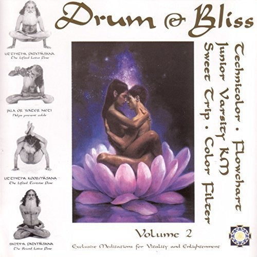 Drum & Bliss 2 / Various - Drum & Bliss 2 / Various - Vinyl Record