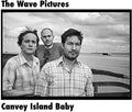 Wave Pictures - Canvey Island Baby - Vinyl Record