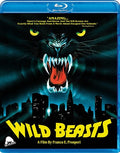 Wild Beasts - Wild Beasts - Blu-ray
