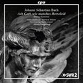 Bach.j.s. / Worner /giebelhausen / Bernardini - Ach Gott Wie Manches Herzeleid - Music CD