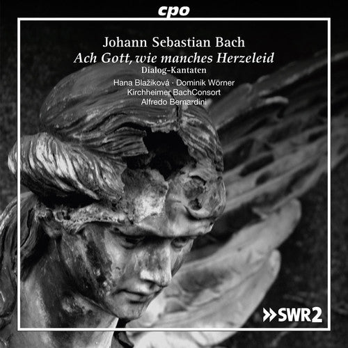 Bach.j.s. / Worner /giebelhausen / Bernardini - Ach Gott Wie Manches Herzeleid - Music CD
