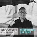 Danemo / Norrbotten Big Band - Composer In Residence - Music CD