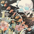 Shins - Heartworms - Music CD