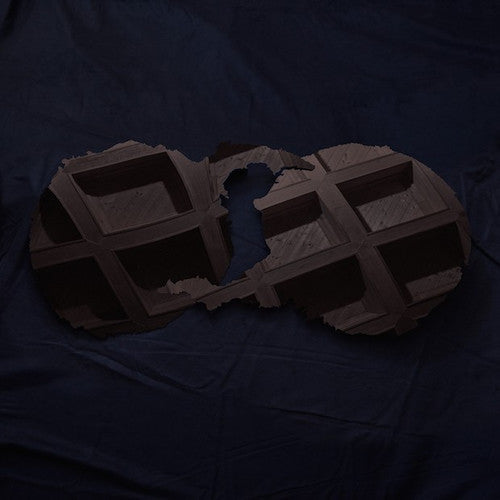 Dirty Projectors Vinyl Record