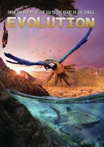 Evolution - Evolution - DVD