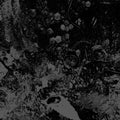 Primitive Man / Unearthly Trance - Split - Music CD