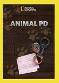 Animal Pd (former Breezy's Law) - Animal Pd (former Breezy's Law) - DVD