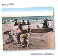 Griffin,gary - Sympathetic Vibrations - Music CD