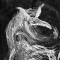 Skullflower - Black Iron That Fell From The Sky To Dwell Within - Vinyl Record