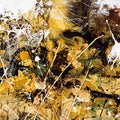 Tiny Leaves - Notes On Belonging - Music CD