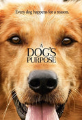 Dog's Purpose - Dog's Purpose - DVD