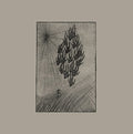 O'dwyer,aine - Locusts - Vinyl Record