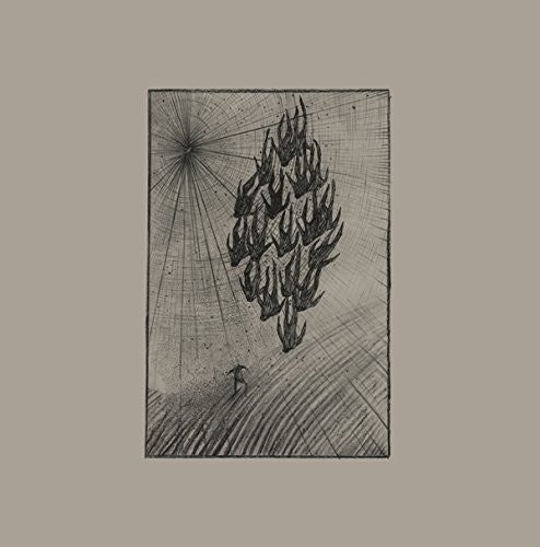 O'dwyer,aine - Locusts - Vinyl Record