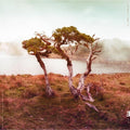 Slowly Rolling Camera - Juniper - Music CD