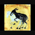Camaron De La Isla - Potro De Rabia Y Miel - Vinyl Record
